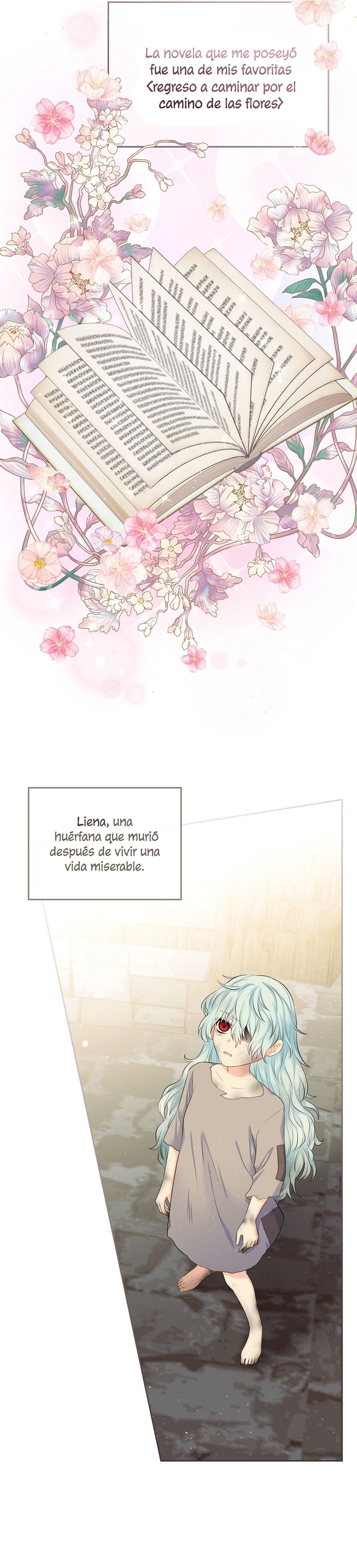 Me divorciaré del hermano Siscon de la protagonista femenina Capítulo 1 - Página 15