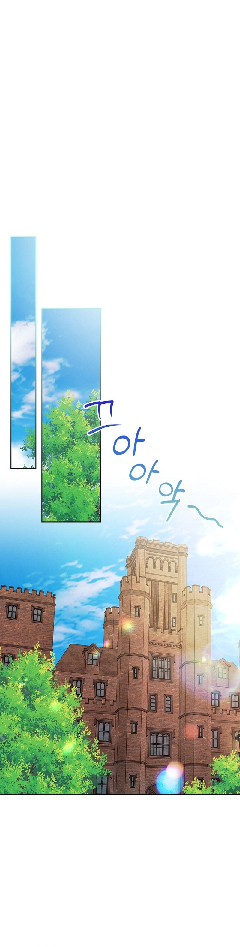 Me divorciaré del hermano Siscon de la protagonista femenina Capítulo 58 - Página 11