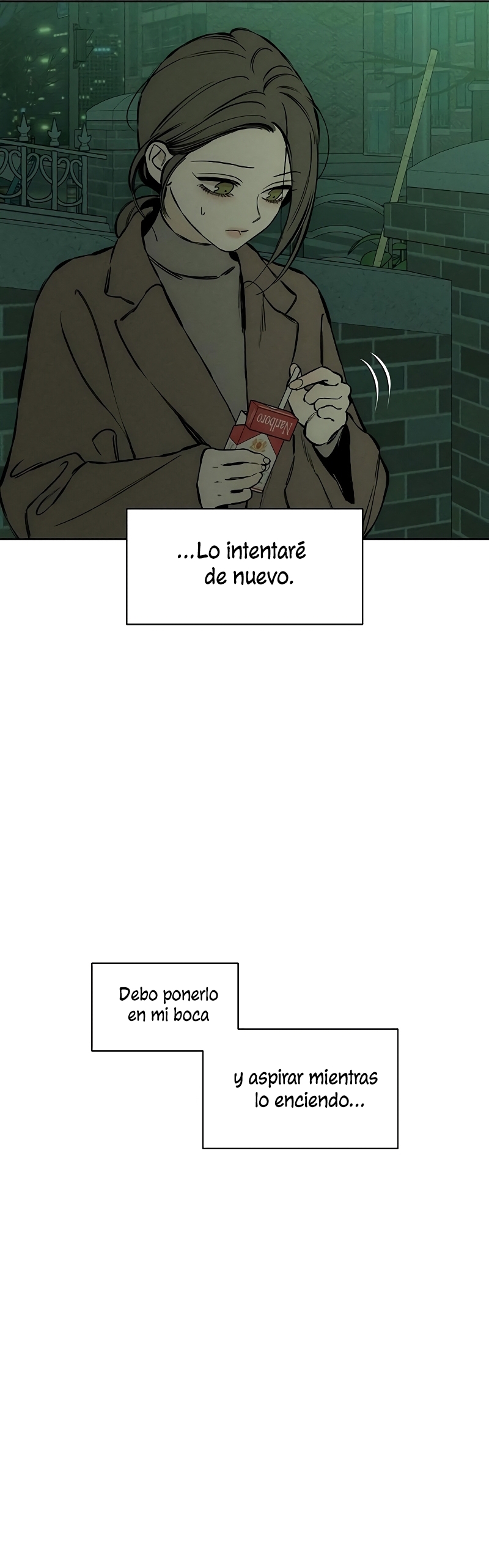 Lágrimas por una flor marchita Capítulo 22 - Página 26