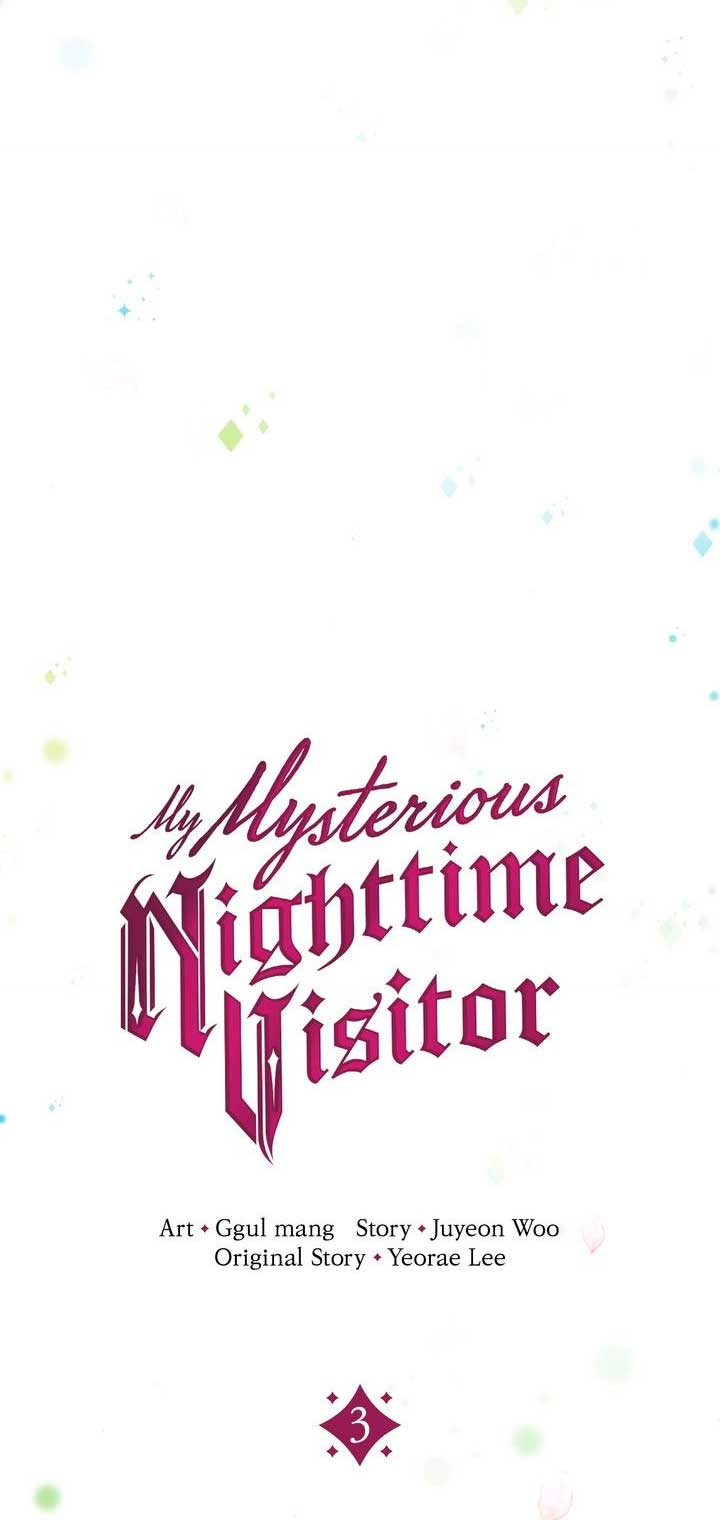 Mi misterioso visitante nocturno Capítulo 3 - Página 9